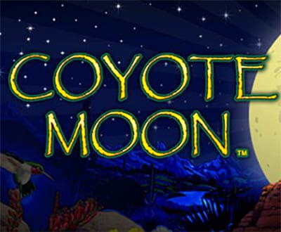 Coyote Moon